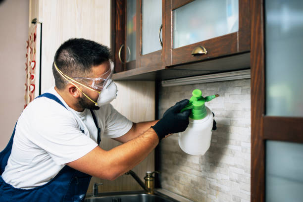 Best Wasp Removal Services  in Kendallville, IN