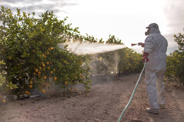 Best Pest Control for Homes  in Kendallville, IN