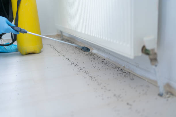 Flea Control Services in Kendallville, IN
