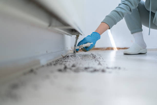Best Termite Control Services  in Kendallville, IN